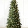 Berkshire Mountain Fir Trees