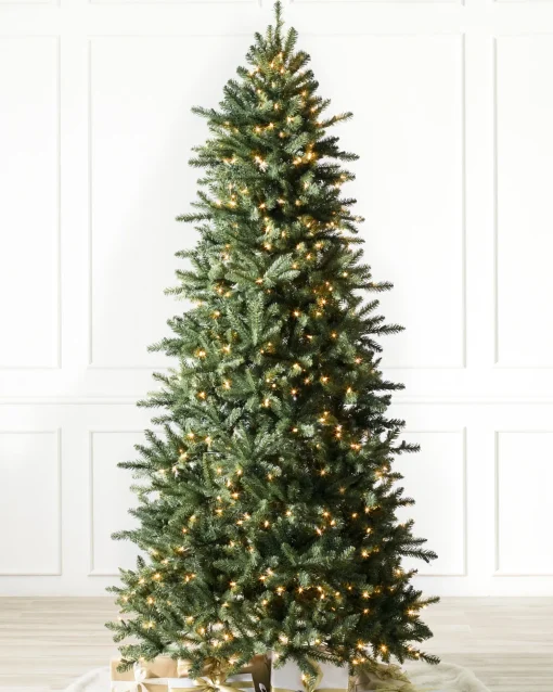 Berkshire Mountain Fir Trees