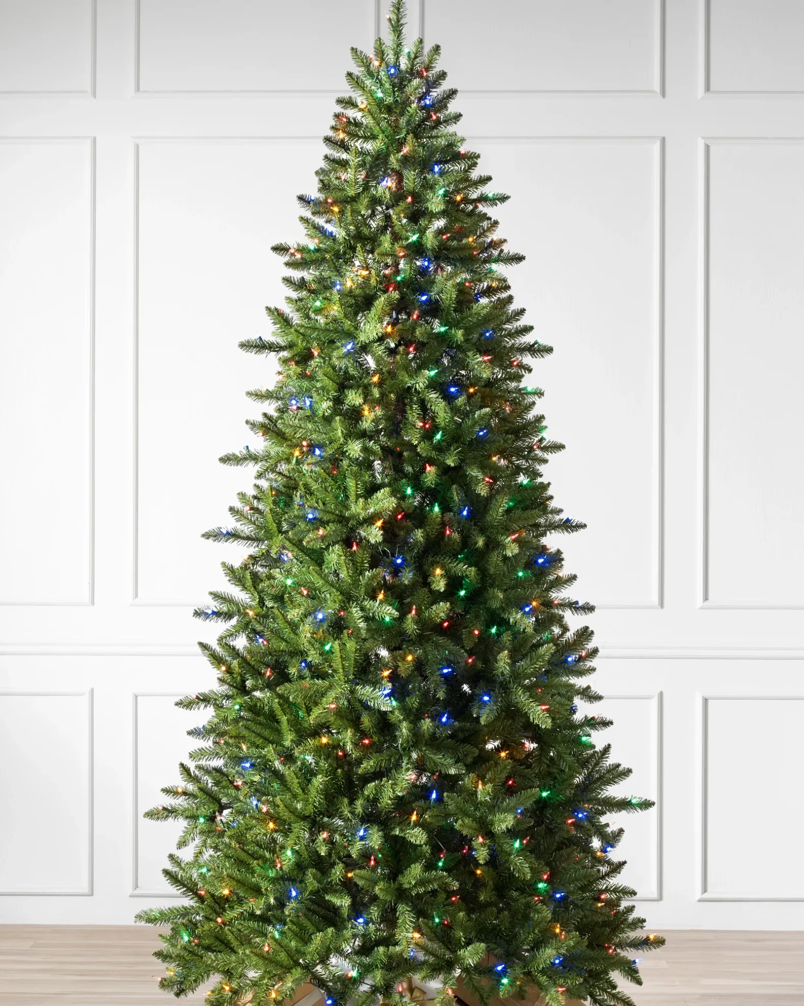 Berkshire Mountain Fir Trees