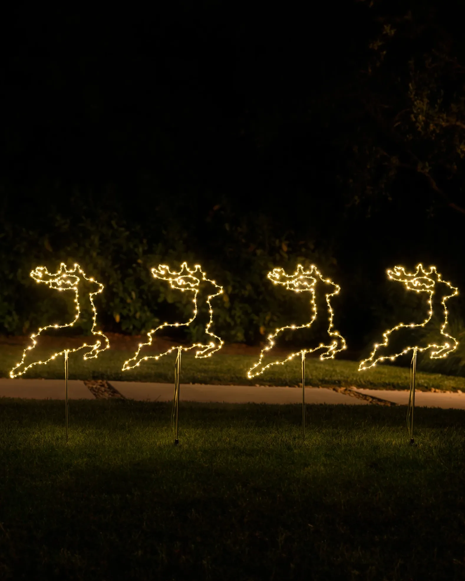 Outdoor North Pole Express Pathway Light Sets